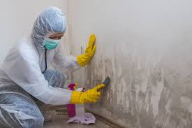 Best Biohazard Mold Removal  in Foley, AL